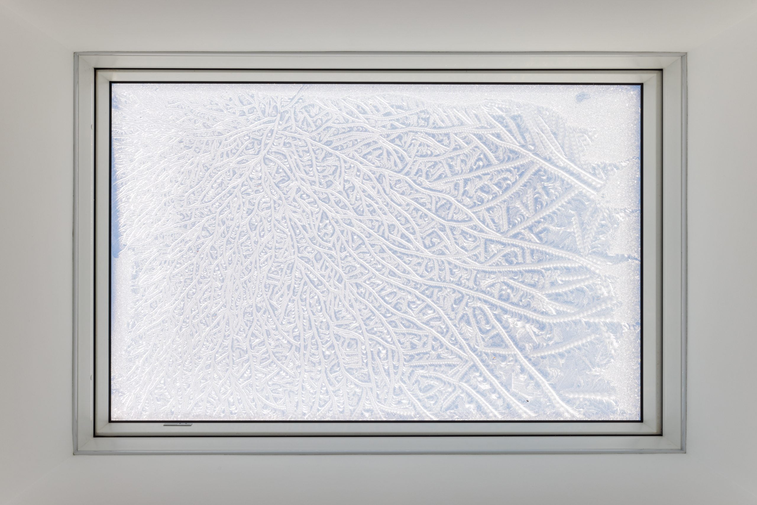 A window with a frosted glass design.