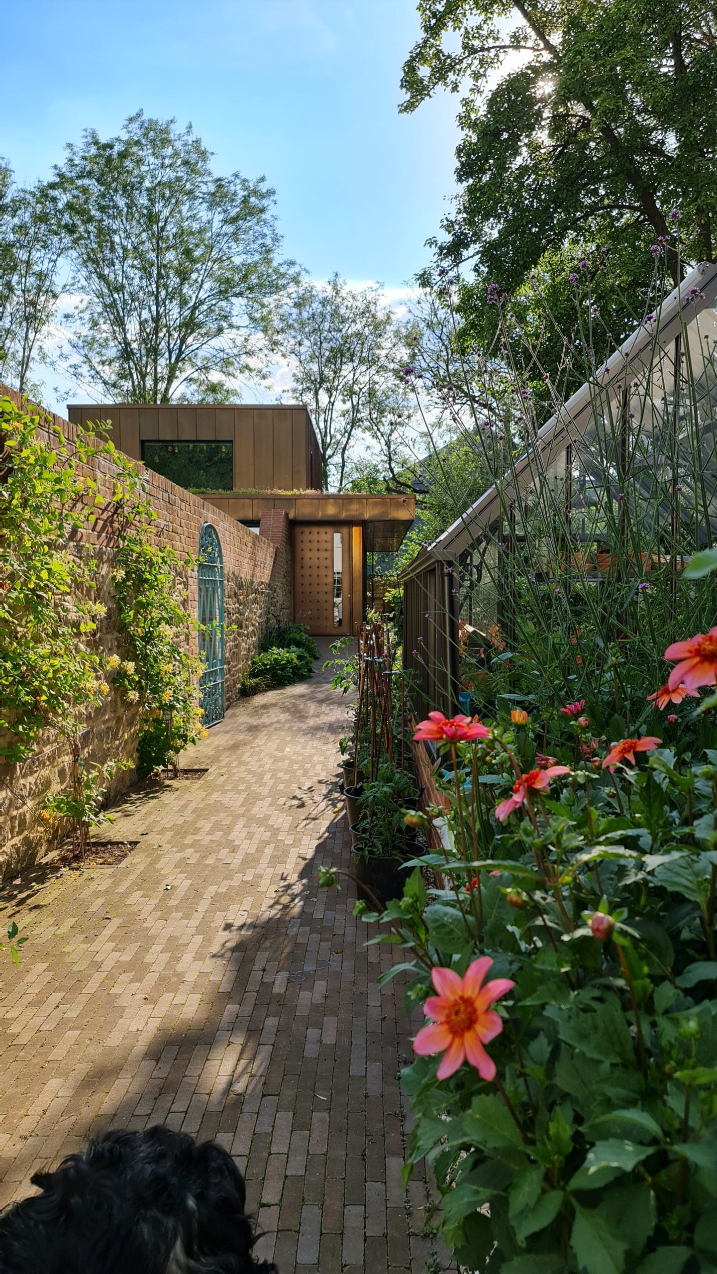 oxford project entrance view